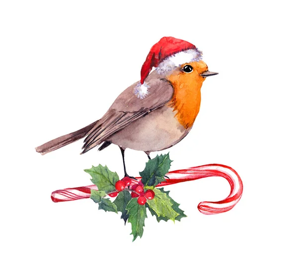 Robin pájaro en sombrero de santa roja en bastón de caramelo y muérdago de Navidad. Tarjeta de acuarela para Navidad — Foto de Stock