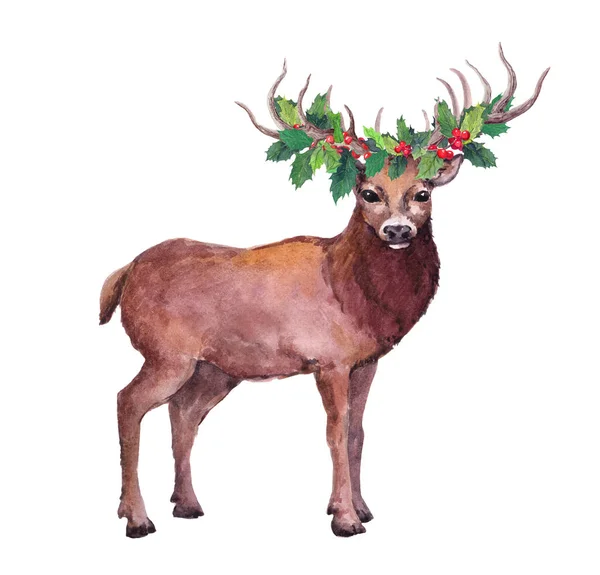 Animal de Natal cervo com visco. Ilustração aquarela — Fotografia de Stock