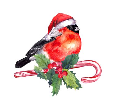 Noel kuş kırmızı santa şapka şeker kamışı ve ökseotu ispinozgiller. Suluboya