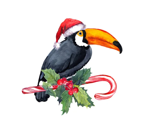 Toucan bird in red santa hat on candy cane and xmas mistletoe. Unusual card for tropical Christmas. Watercolor card — Stock Photo, Image