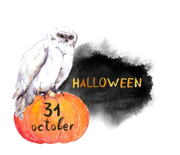 Owl on pumpkin. Halloween watercolor — Stock Photo, Image
