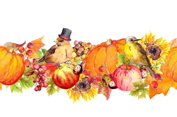 Ação de Graças moldura de borda sem costura. Pássaros, frutas e verduras - abóbora, maçãs, bagas, nozes, folhas de outono. Aquarela de Graças dando dia — Fotografia de Stock