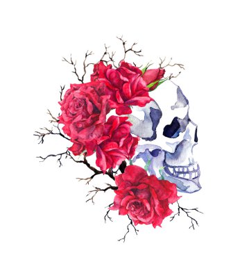 İnsan kafatası kırmızı gül çiçekler, dalları içinde. Suluboya