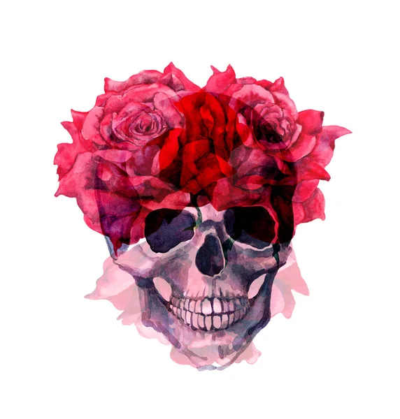 İnsan kafatası, kırmızı gül çiçekler. Cadılar Bayramı partisi için suluboya — Stok fotoğraf