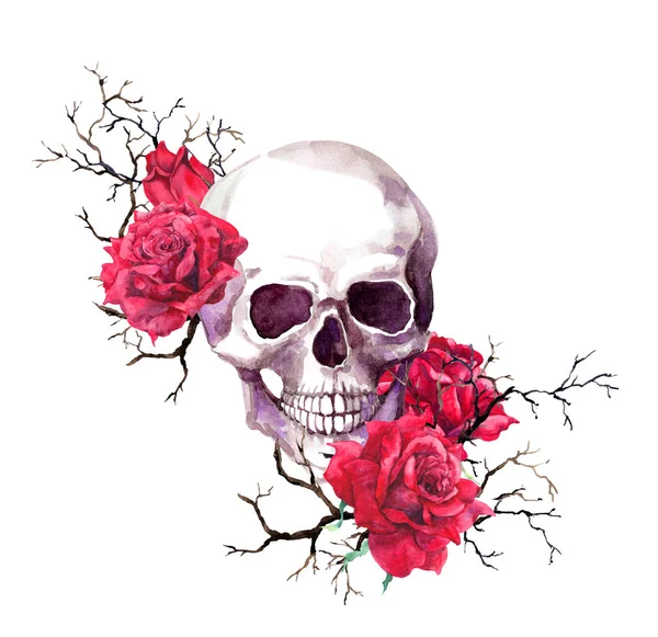 Ludzkie czaszki w gałęzi, czerwona róża kwiaty. Akwarela na Halloween — Zdjęcie stockowe