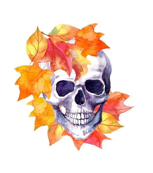 Human skull, yellow autumn leaves. Watercolor illustration — Stock Photo, Image