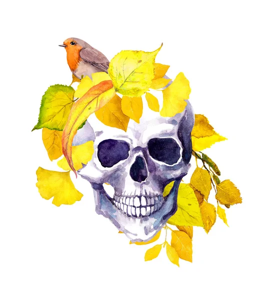Crânio humano, folhas amarelas de outono, pássaro. Aquarela — Fotografia de Stock