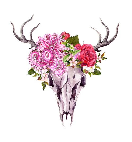 Jeleń zwierzęca czaszka z kwiatami, etniczne ornament. Akwarela — Zdjęcie stockowe