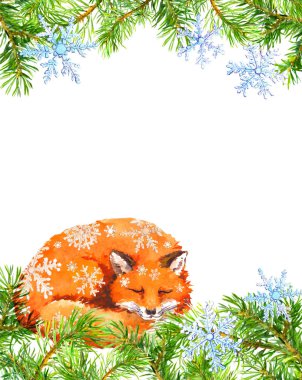 Kar pul Fox hayvan, köknar ağacı dalları çerçeve. Noel kartı. Suluboya