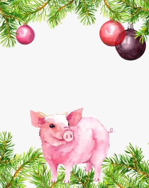Aranyos disznó, a fenyő ágak, dekoratív baubles. Karácsonyi-újévi keret, kártya, üres üres. Akvarell — Stock Fotó
