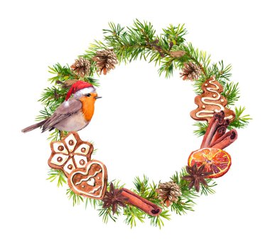 Robin kuş kırmızı tatil şapka, zencefilli kurabiye, cinamon, portakal. Köknar ağacı dalları, koni ile Noel çelenk. Yeni yıl suluboya