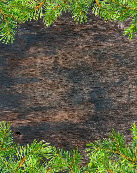 Tűlevelű fa ágai keret. Karácsonyi kártya. Akvarell — Stock Fotó