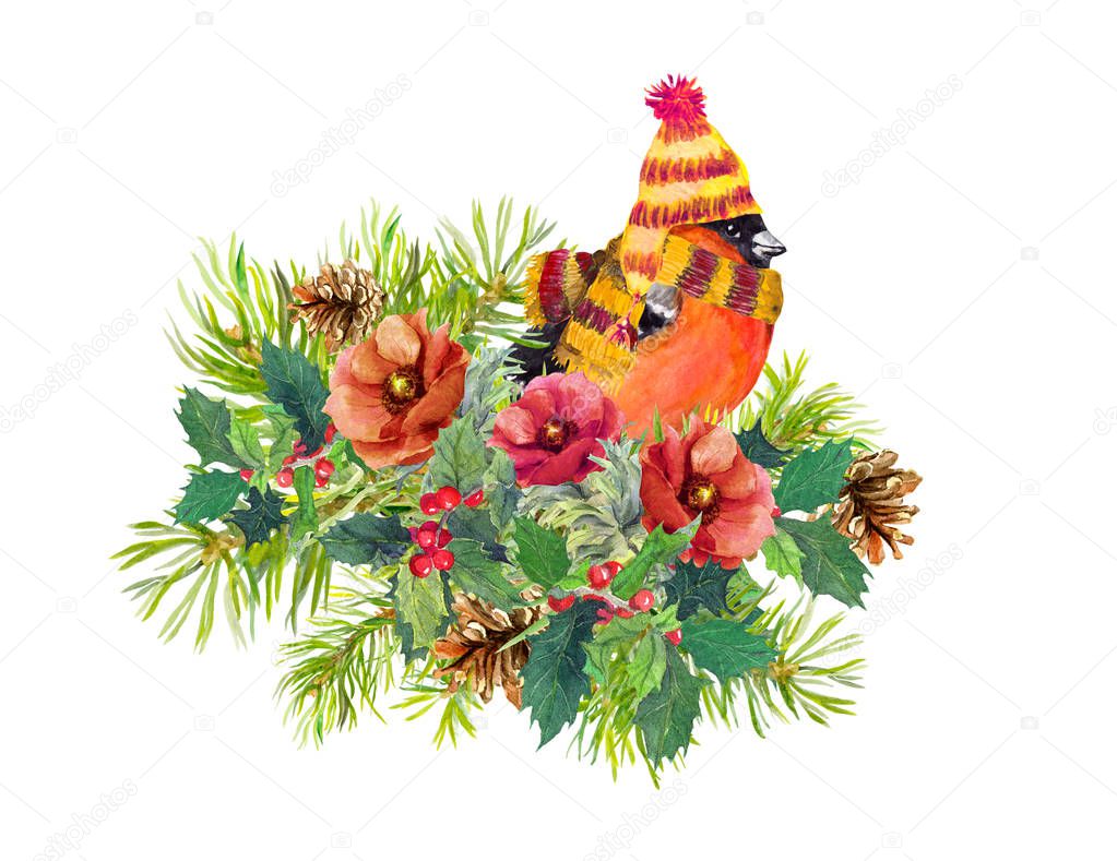 Christmas composition - finch bird, winter flowers, spruce tree,  mistletoe. Watercolor