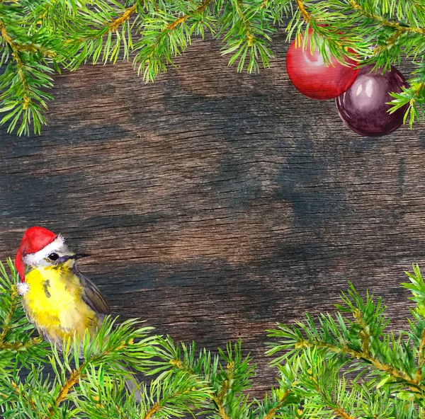 Bird in red santa hat, christmas tree branches, baubles frame. Christmas card. Watercolor — Stock Photo, Image