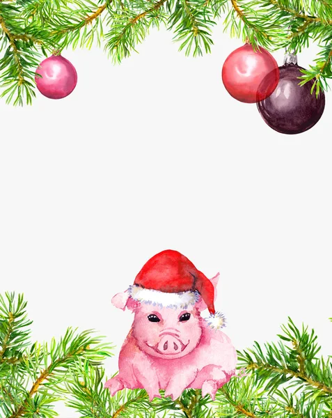 可爱的猪在红色圣诞老人帽子, 冷杉树枝, 装饰小泡。圣诞节为新年框架, 卡, 空空白。水彩 — 图库照片