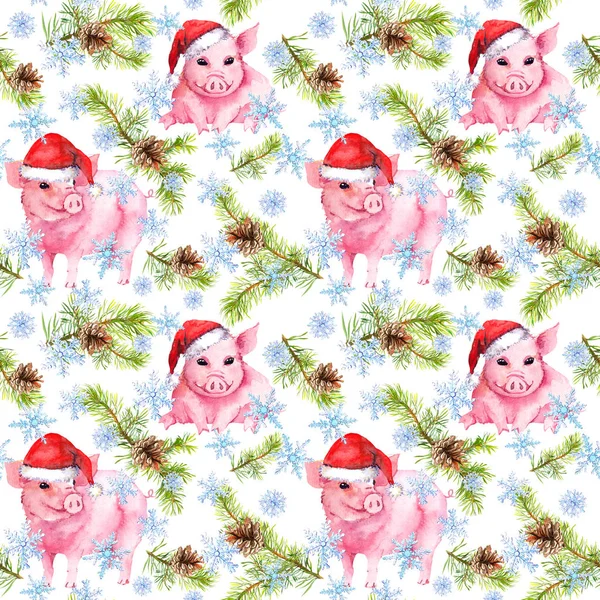 Lindos cerdos con sombreros rojos de vacaciones, ramas de árboles de Navidad. Patrón sin costuras para Año Nuevo. Acuarela —  Fotos de Stock
