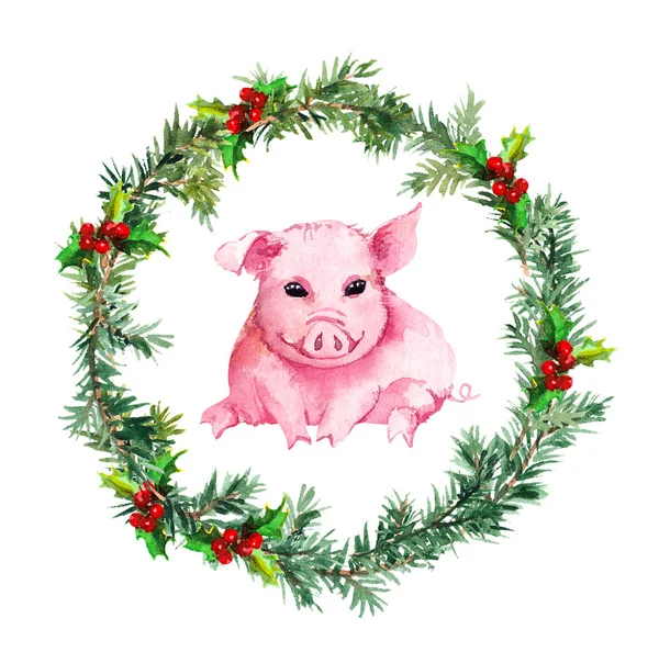 Christmas card - fir twigs, mistletoe, lovely pig. Watercolor — Stock Photo, Image