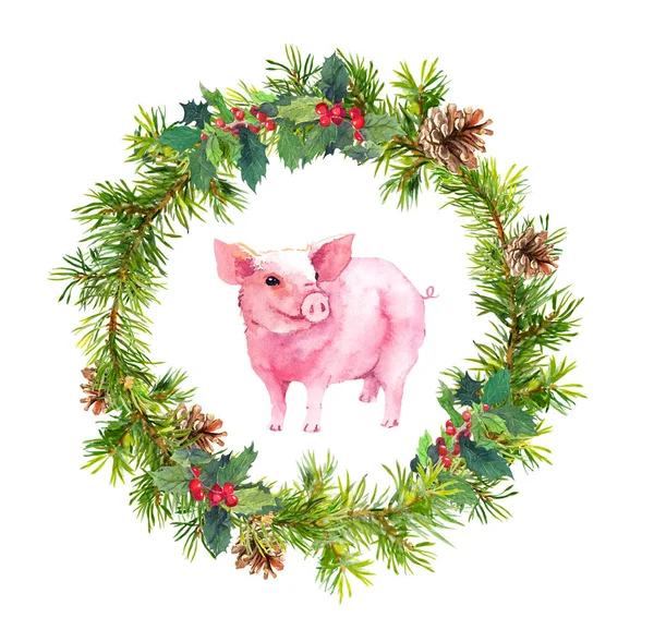 Karácsonyi üdvözlőlap - fenyő gallyak, fagyöngy, sertés. Akvarell — Stock Fotó