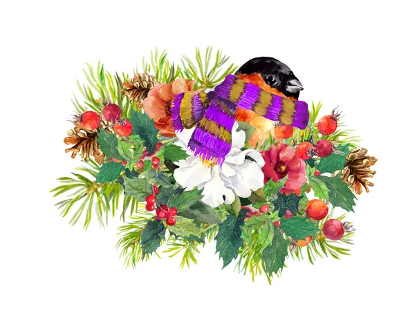 Composizione di Natale - uccello di fringuello, fiori invernali, abete rosso, vischio. Acquerello — Foto Stock