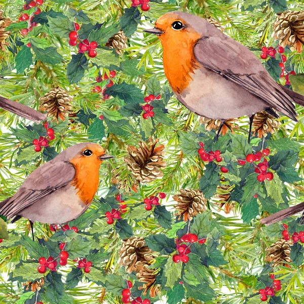 Ramas de abeto, muérdago, petirrojos. Patrón sin costuras de Navidad. Acuarela — Foto de Stock