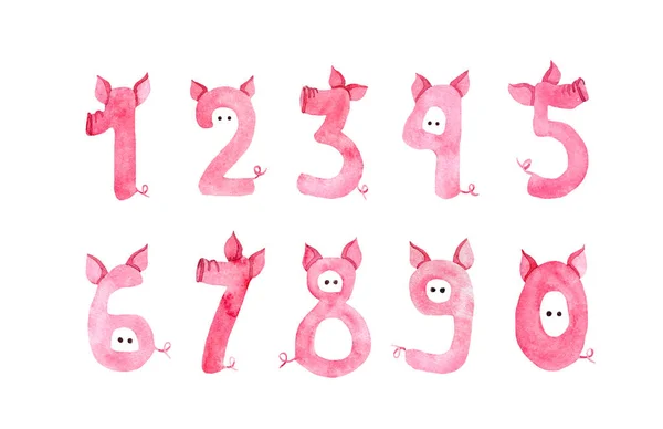 돼지 코, 귀, 2019 년에 대 한 이야기와 귀여운 숫자. 재미 있는 손으로 돼지 스타일에서 새 해에 대 한 글꼴을 그린 — 스톡 사진