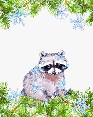 Şirin rakun dalları kar taneleri ile hayvan ve Noel ağacı. Tatil kartı, boş boş. Suluboya