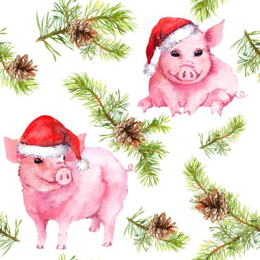 Kırmızı şapkalı şirin domuzlar, Noel ağacı dalları. Yeni yıl için kusursuz bir model. Suluboya