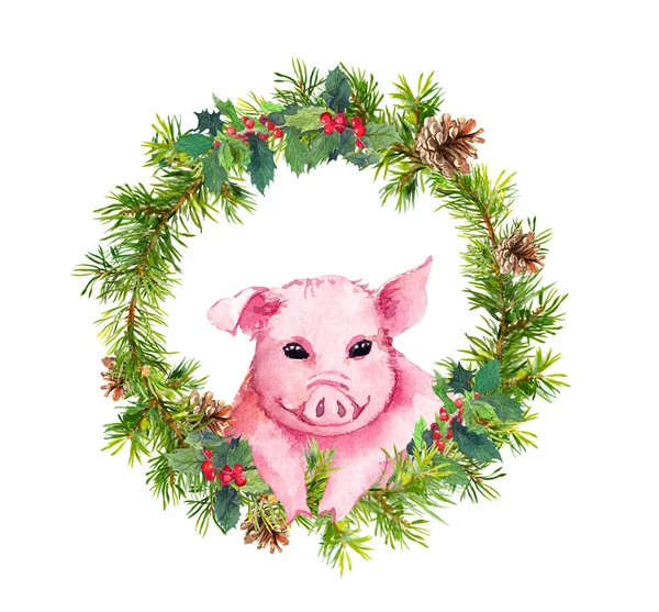 Christmas card - fir twigs, mistletoe, pig. Watercolor — Stock Photo, Image