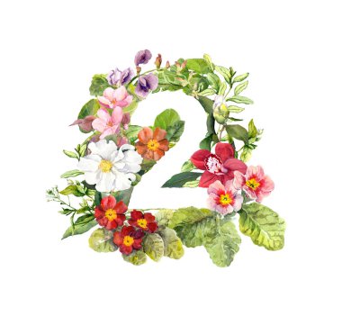 2-iki üzerinden çiçek çiçek numara. Sulu boya