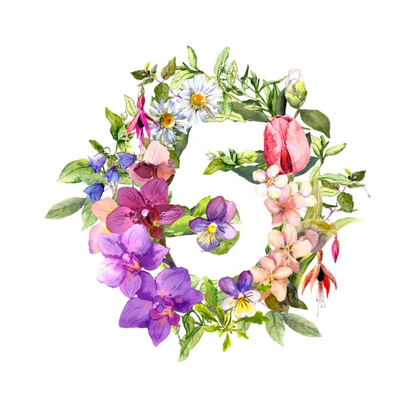 El número floral 5 - cinco de las flores y las hierbas. Acuarela . — Foto de Stock