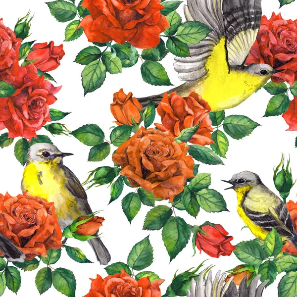 Jardín secreto - rosas rojas flores, pájaros. Fondo floral sin costuras. Acuarela —  Fotos de Stock
