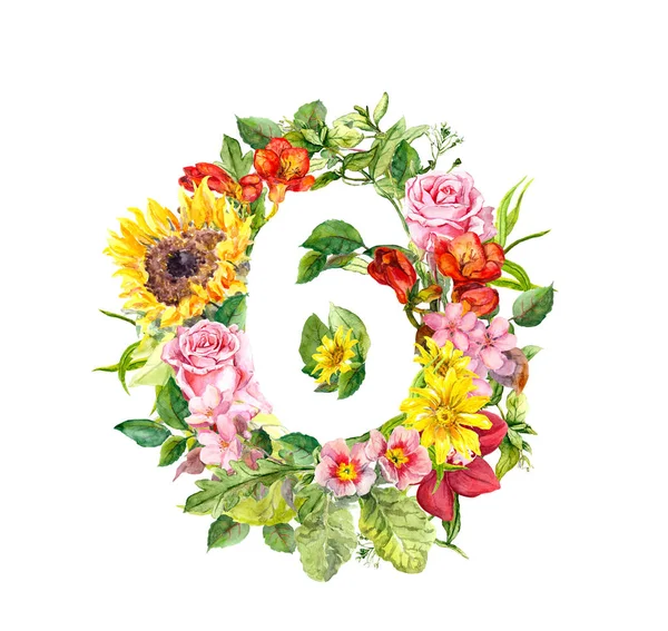 Vintage floral numeral 6 - seis de flores silvestres y hierba del prado. Color de agua — Foto de Stock