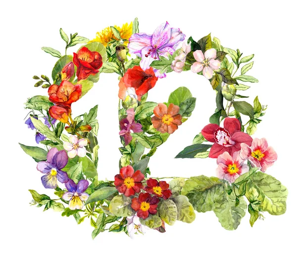 Floral αριθμός 12 δώδεκα από αγριολούλουδα και βότανα. Ακουαρέλα — Φωτογραφία Αρχείου