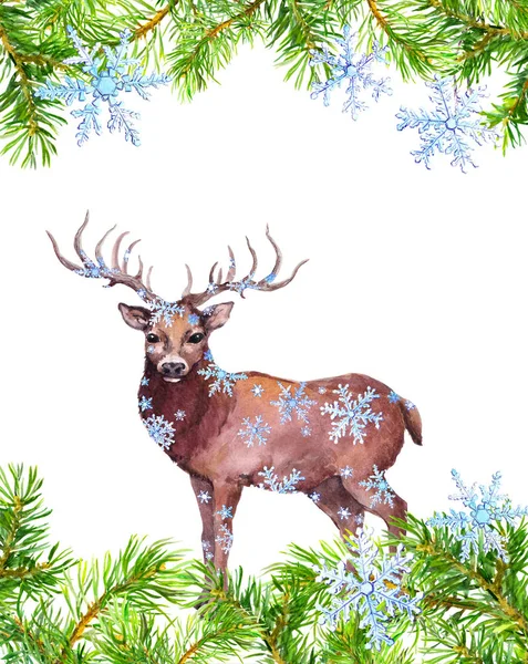 Zweige von Kiefern rahmen das Bild ein, Rehwild in Schneeflocken. Weihnachtskarte. Aquarell — Stockfoto