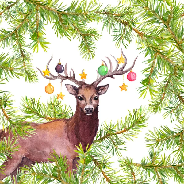 Cerf avec des boules décoratives sur les cornes. Carte aquarelle de Noël avec branches de pin — Photo