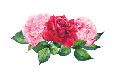 Şakayık çiçekleri ve kırmızı güller pembe. Suluboya