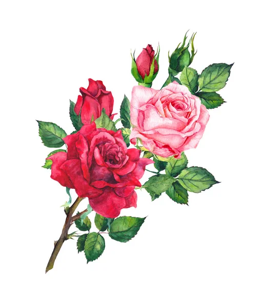 Buquê de rosas vermelhas e rosa. Aquarela isolada — Fotografia de Stock