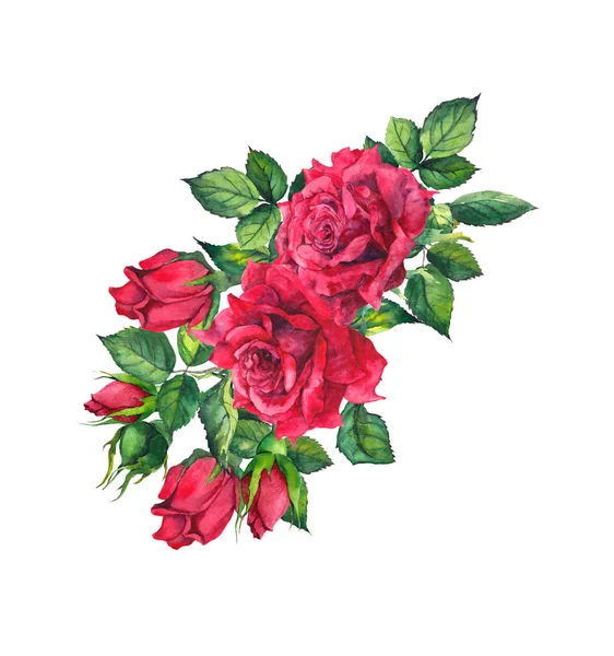 Rode rozen. Aquarel bloemen — Stockfoto