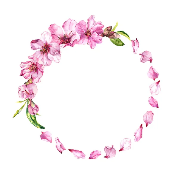 Pétalos de cerezo rosa, flor de sakura, flores de cerezo de primavera. Corona de flores. Borde redondo acuarela — Foto de Stock