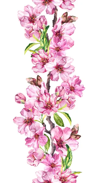 Äpple, körsbär rosa blommor. Sömlös blommig stripe ram. Botaniska akvarell målade gränsen — Stockfoto