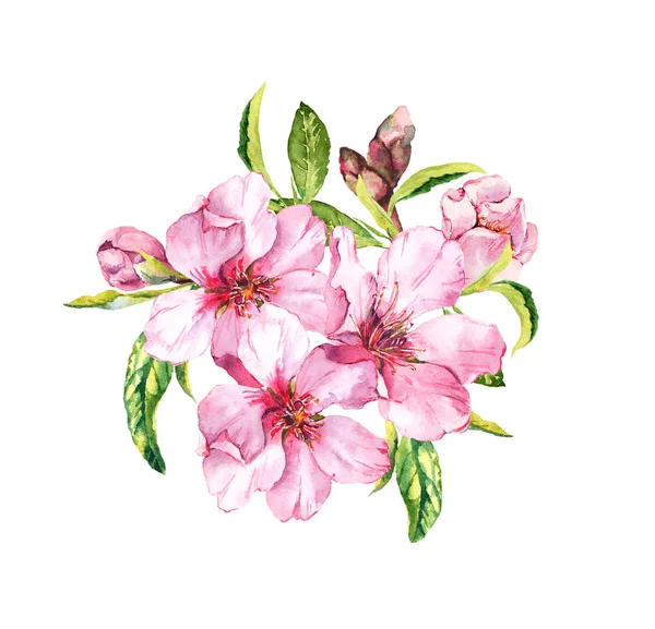 Spring blossom - bouquet of pink sakura, cherry flowers. Springtime floral watercolour — Stock Photo, Image