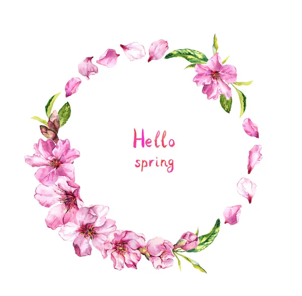 Flowering cherry tree, sakura blossom, pink flowers petals. Floral wreath, text Hello spring . Watercolor round border — Stock Photo, Image