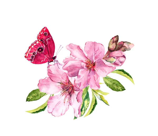 Schmetterling, rosa Blumen, Frühlingsblüte. Blütenzweig von Apfel, Kirschbaum. Aquarell floraler Zweig — Stockfoto