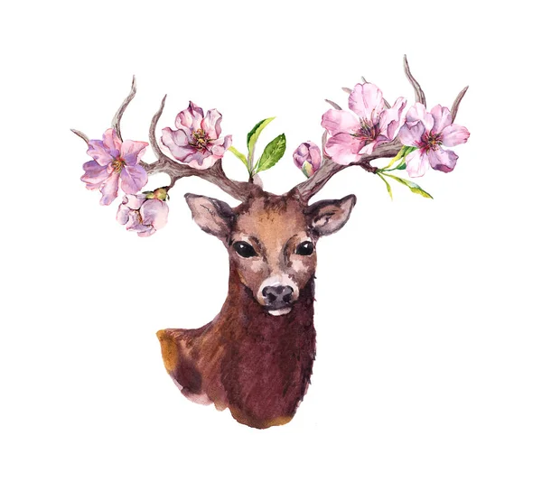 Ελάφια κεφαλής ζώου με ροζ μήλο, άνοιξη cherry λουλούδια, άνθιση sakura στα κέρατα. Ακουαρέλα — Φωτογραφία Αρχείου