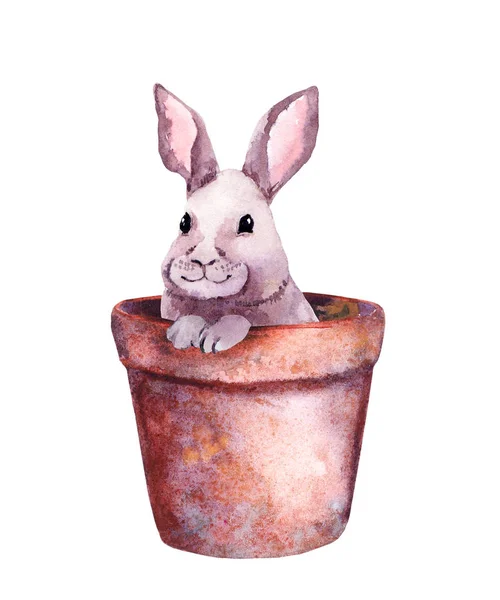 Small cute rabbit in a flower pot. Adorable watercolor with Easter bunny — Stock Photo, Image