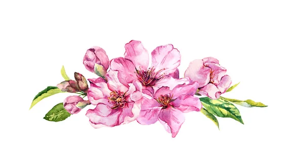 Pembe elma çiçekler, sakura, badem çiçek. Suluboya — Stok fotoğraf
