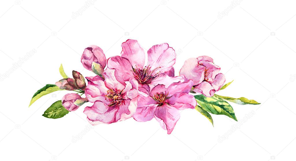 Pink apple flowers, sakura, almond flowers. Watercolor