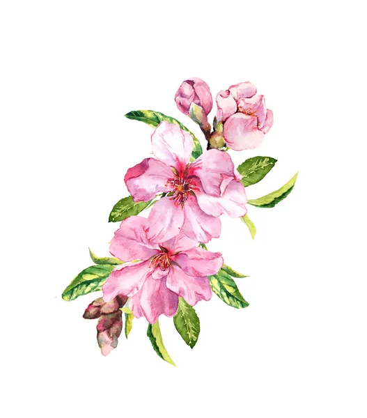 Flores cor de rosa. Primavera maçã tempo, flor de cereja, ramo sakura. Aquarela — Fotografia de Stock