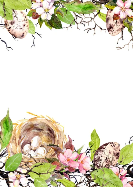 Ovos de Páscoa, ninho, grama e flores rosa. Cartão de Páscoa aquarela — Fotografia de Stock