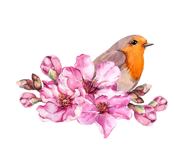 Pájaro primaveral en rama floreciente con flores rosadas de cereza, sakura, manzana, flores de almendras. Acuarela — Foto de Stock